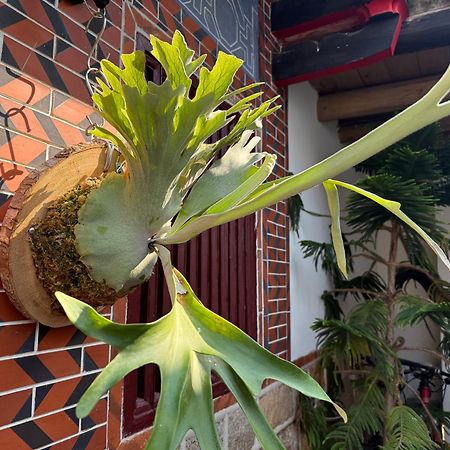 Grace Homestay Jincheng Esterno foto