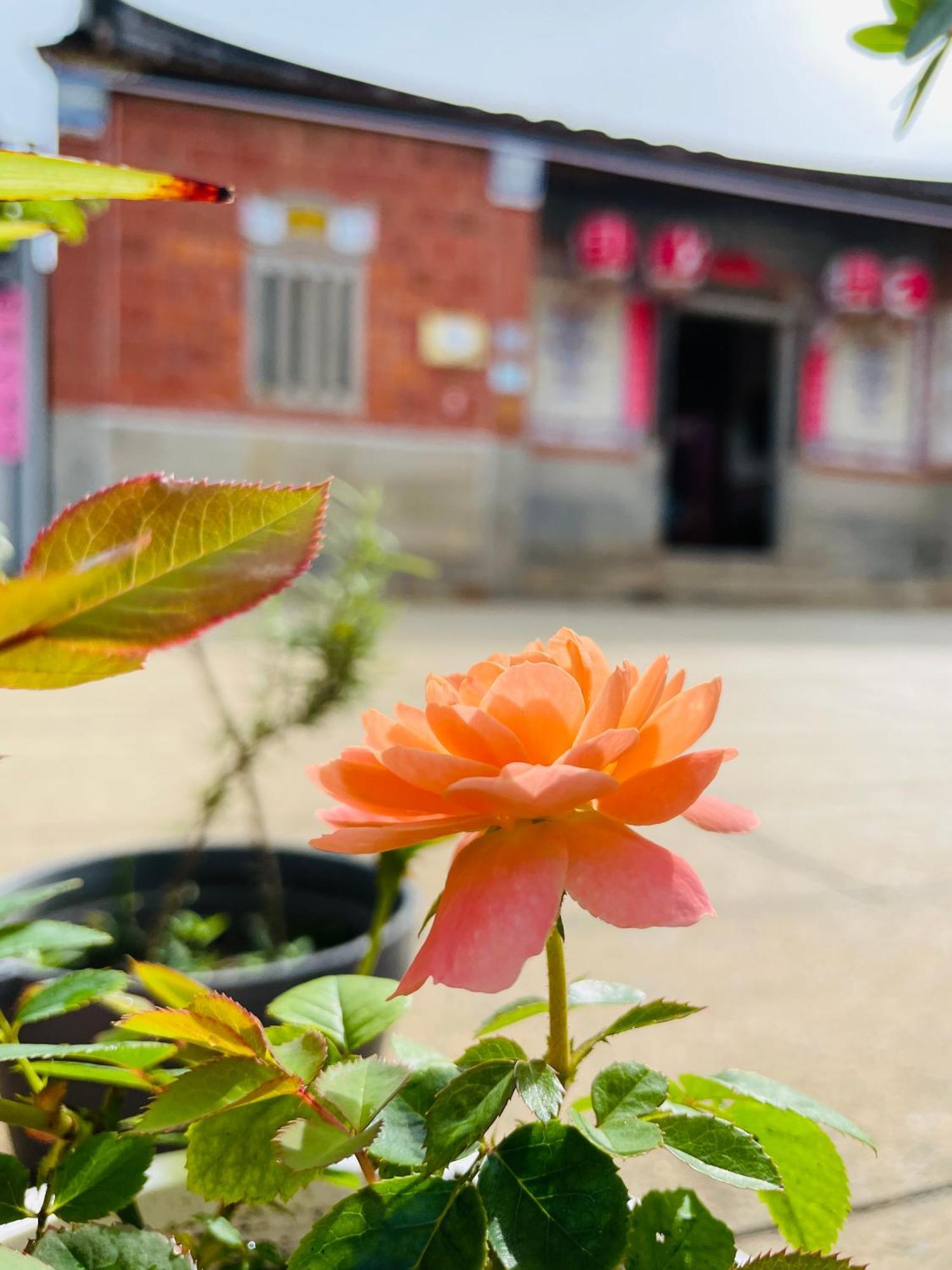 Grace Homestay Jincheng Esterno foto