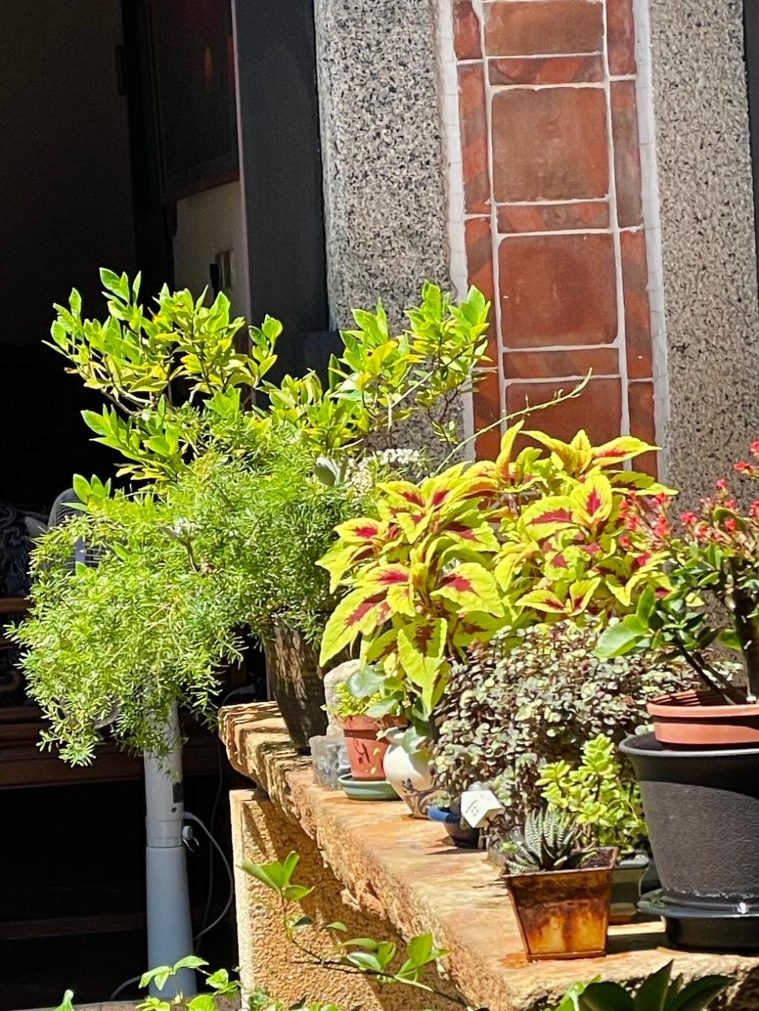 Grace Homestay Jincheng Esterno foto